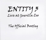Entity - Entity 3
