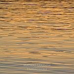 Mathias Grassow - Tamanoshima