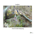 Oöphoi - I Hear the Woods Whispering