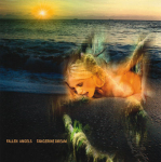 Tangerine Dream - Fallen Angels