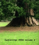 Various Artists - Awakenings 2008 Volume 2